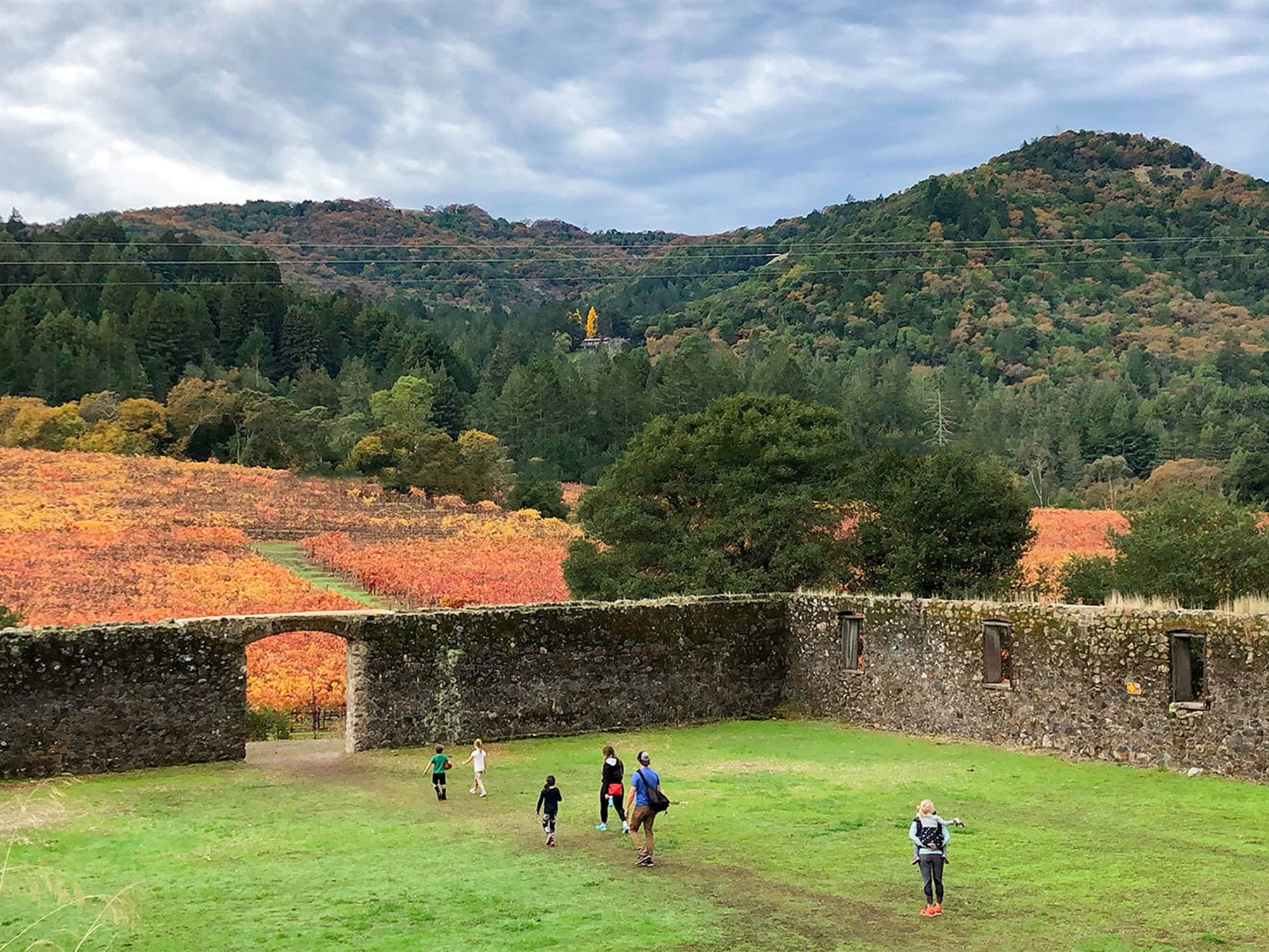 People walk among the stone ruins that are surrounded by vineyards