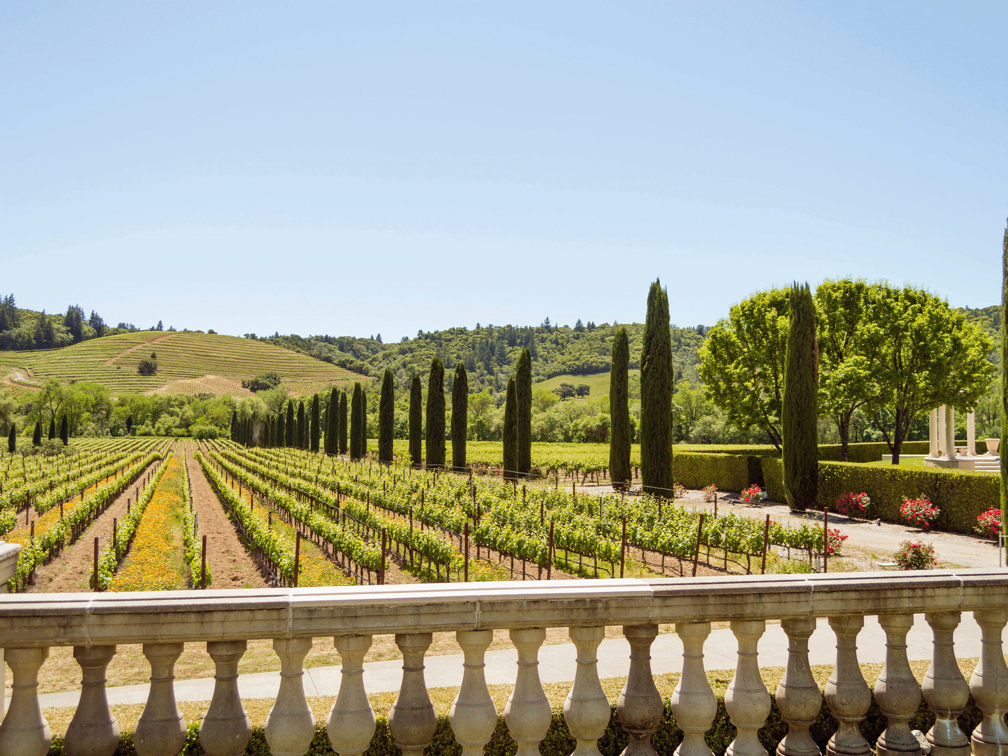 Formal sculpted gardens as seen from a patio