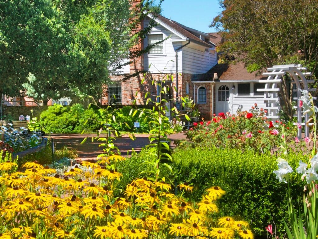 beautiful flowers at luther burbank home ad gardens in sonoma county