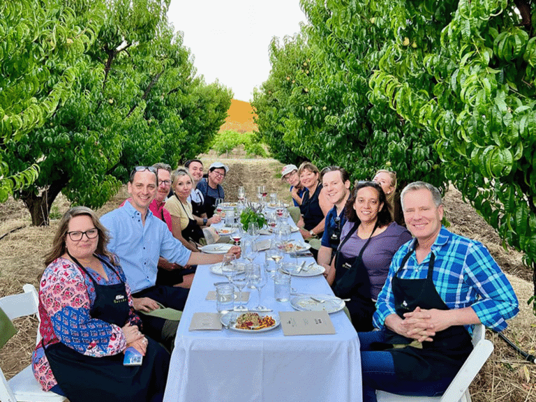 group of visitors enjoying a food and wine experience in the vineyards of sonoma county