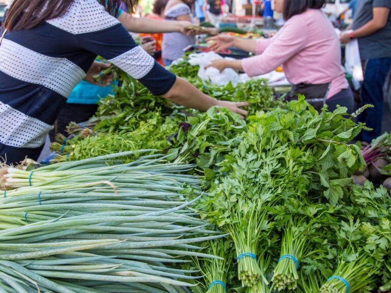 fresh herbs from the santa rosa farmers market in sonoma county