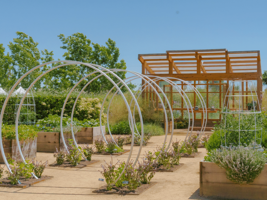 flower garden at cornerstone sonoma in sonoma county