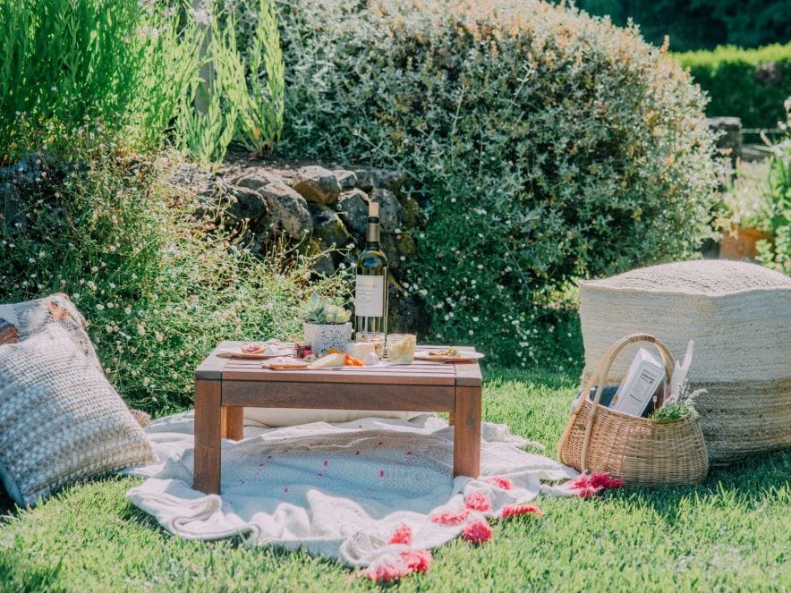 Photo of Lambert Bridge Outdoor Picnic and Tasting