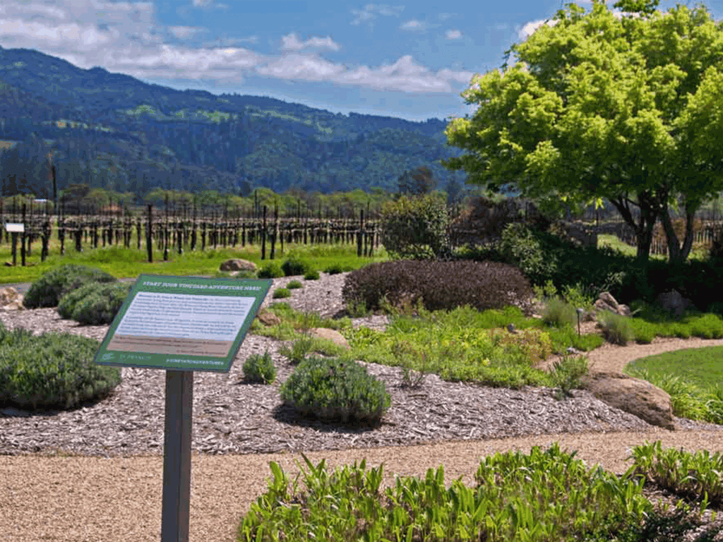 garden tour at st francis winery and vineyard in santa rosa