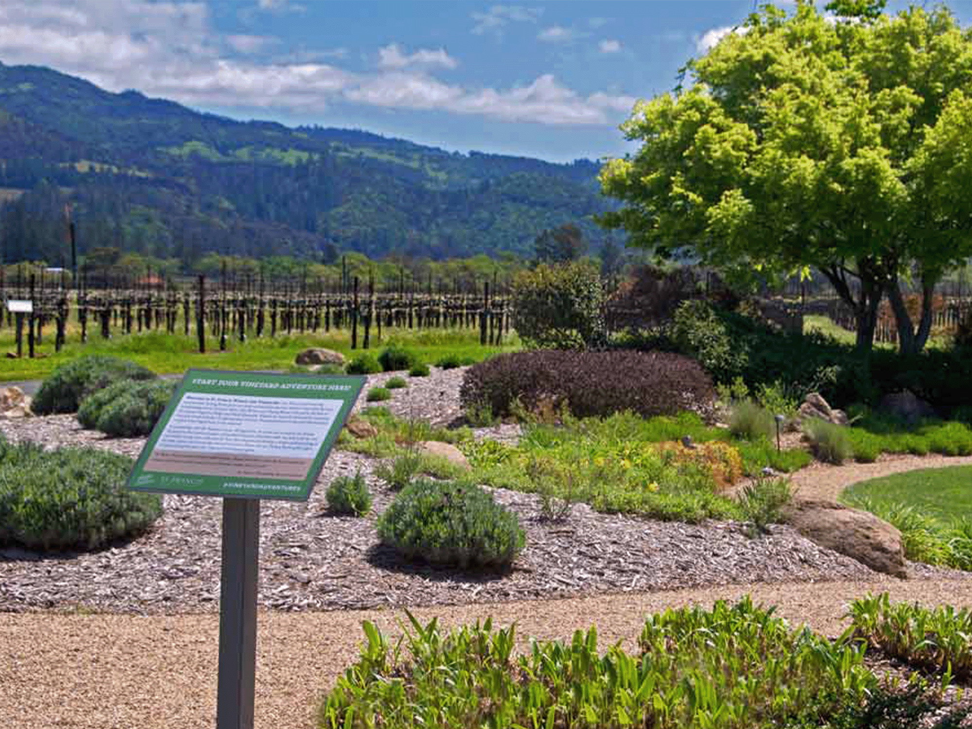 A sign explaining the vineyard adventure program looks out on the vineyards