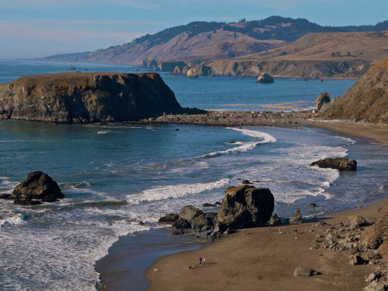 beautiful scenery of goat rock at the sonoma coast line in jenner sonoma county