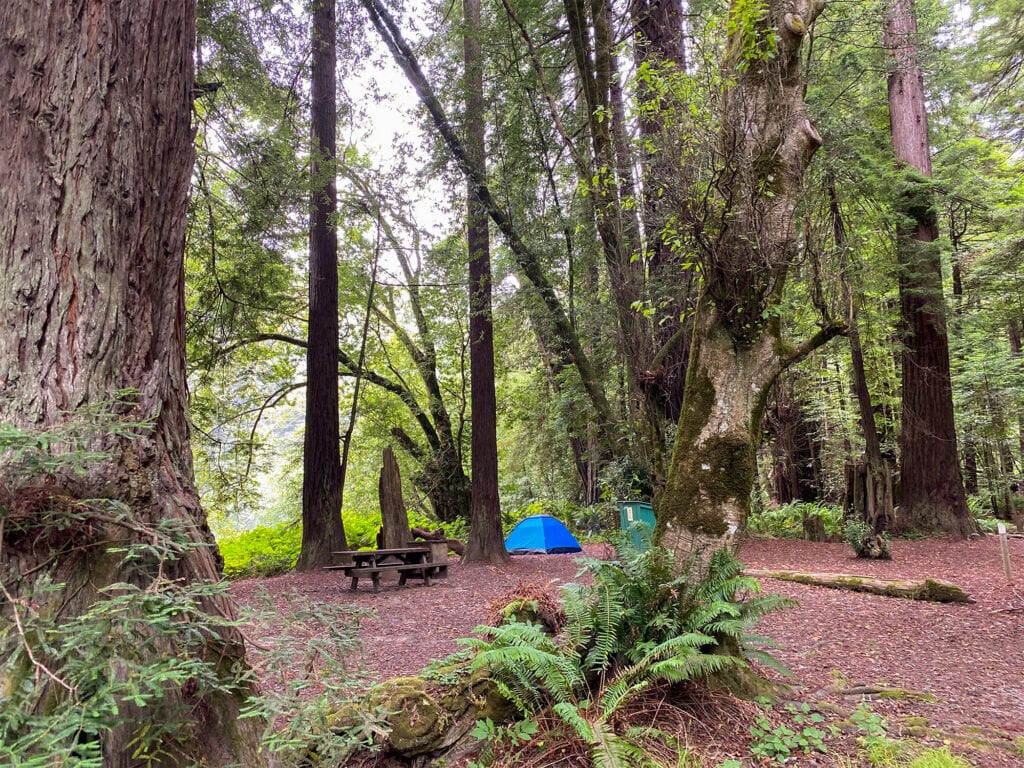 camping at Gualala Point Regional Park