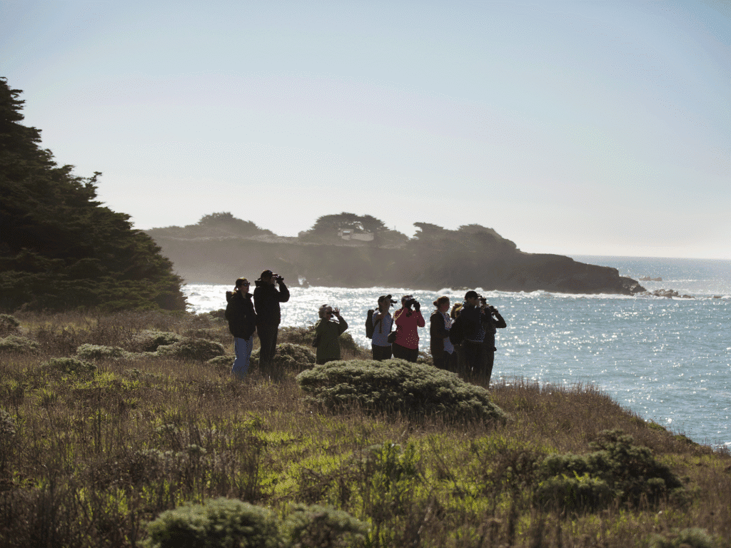 group of people whale watching at gualala point regional park