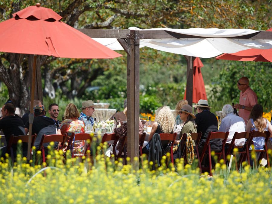 Healdsburg Wine and Food Experience