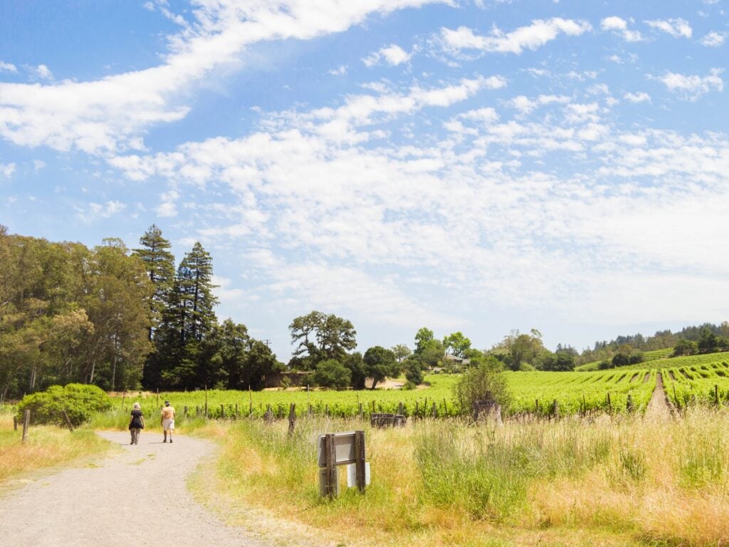 people hiking at jack london state park in glen ellen sonoma county