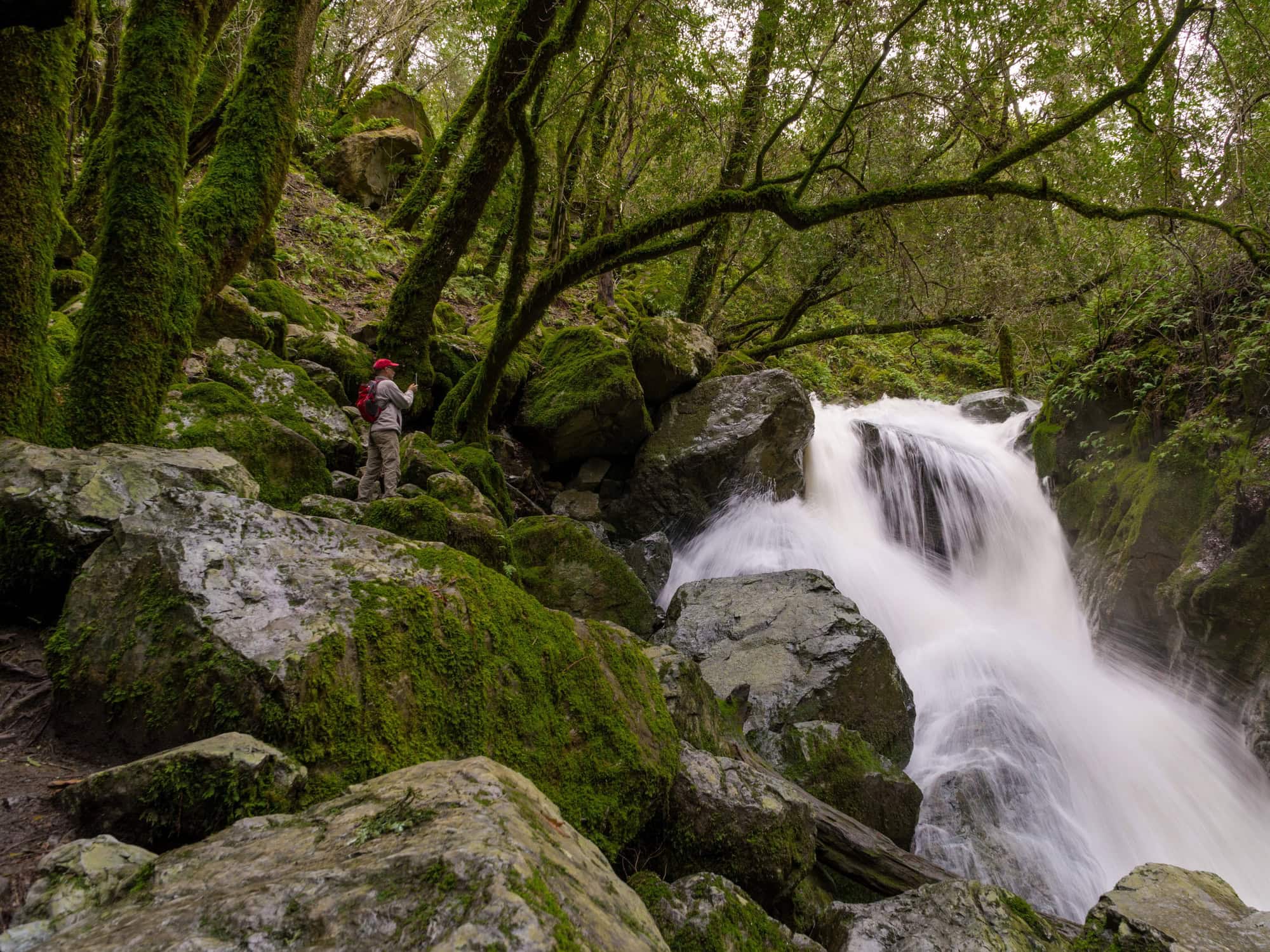 hiker taking a picture of a waterfall at sugarloaf ridge state park
