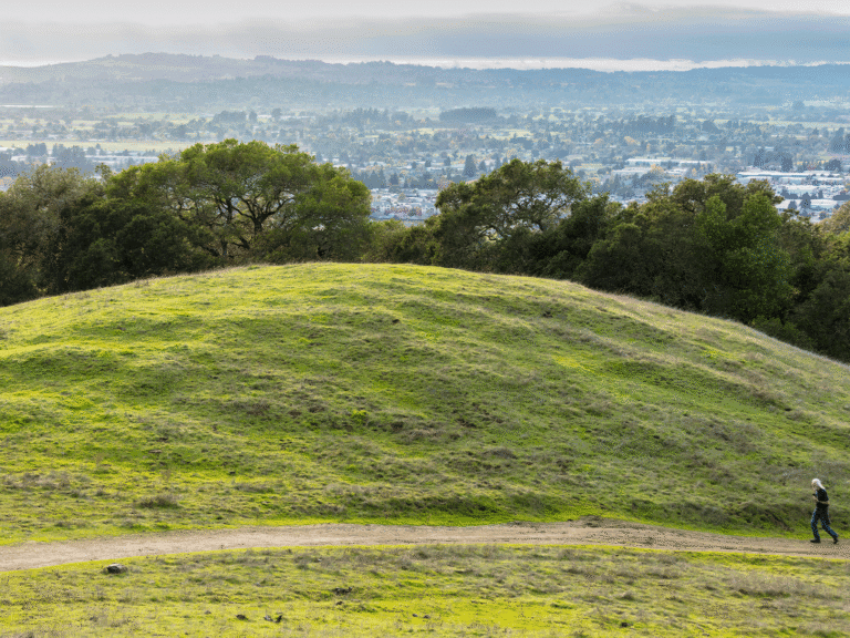 person hiking taylor mountain regional park in sonoma county