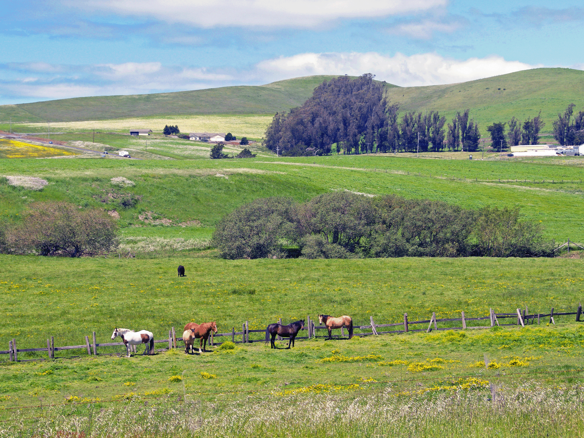 Lovely, rural Valley Ford was once the territory of the Coast Miwok