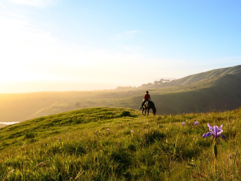 horseback riding in bodega bay sonoma county