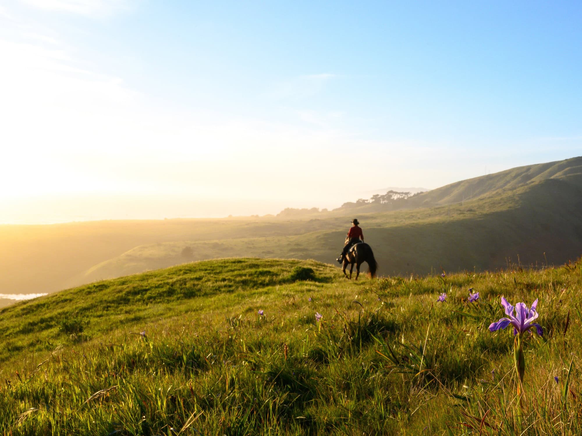 A person rides a horse at sunset along the coast