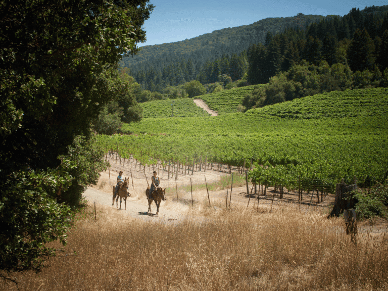 2 people horseback riding along with vineyards at jack london state historic park in glen ellen