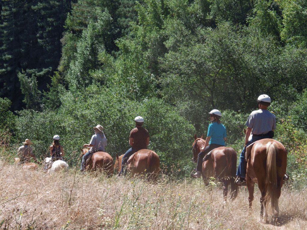 group of visitors doing a horseback riding tour in sonoma county