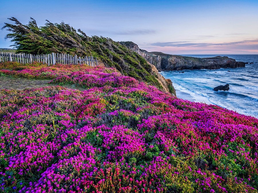 Sea Ranch