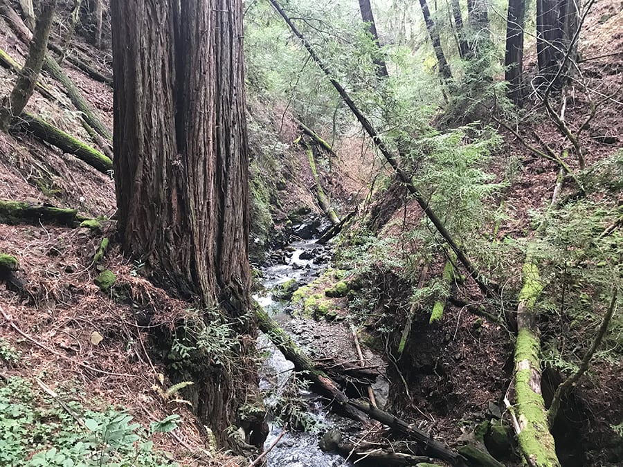 Trione-Annadel State Park