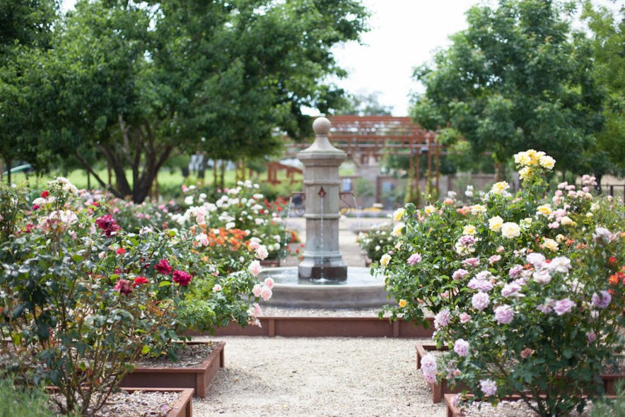 The rose garden is a perfect place for sipping Bricoleur’s two rosés