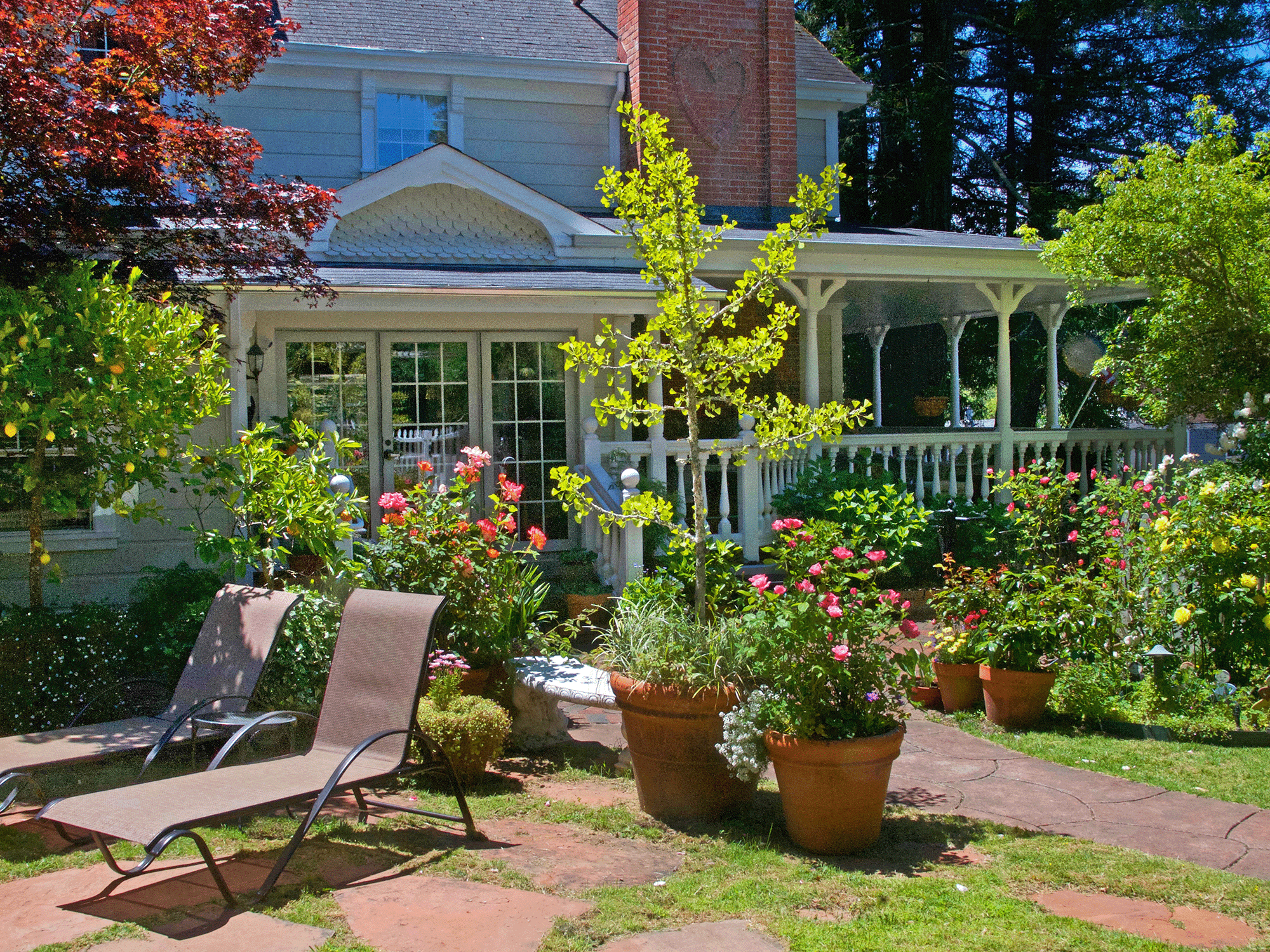 Lounge chairs sit in the garden outside of the inn in Sonoma County