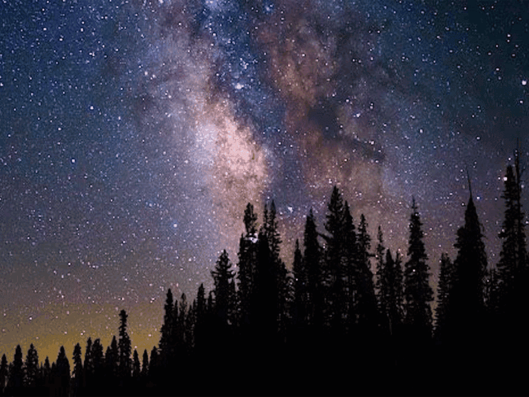 stargazing in the sonoma county redwoods beautiful night sky with stars
