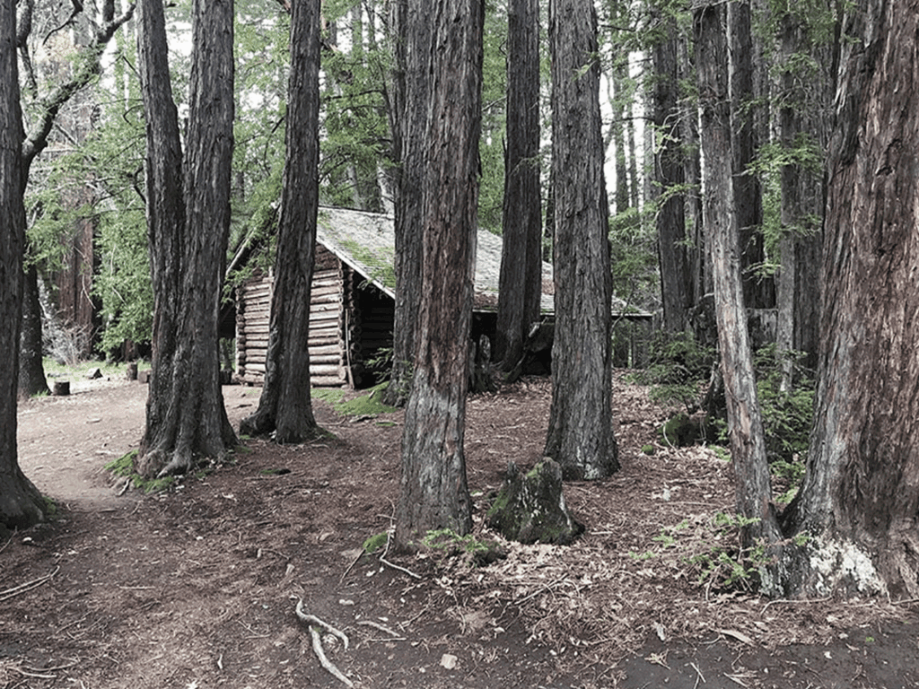 wooden cabin in the woods of jack london state park in glen ellen