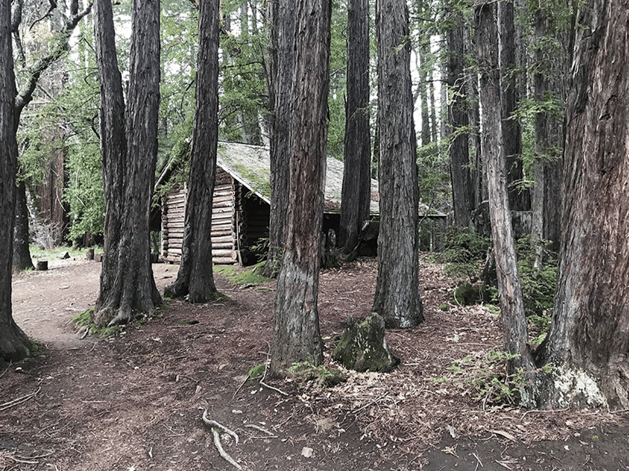 Trione-Annadel State Park