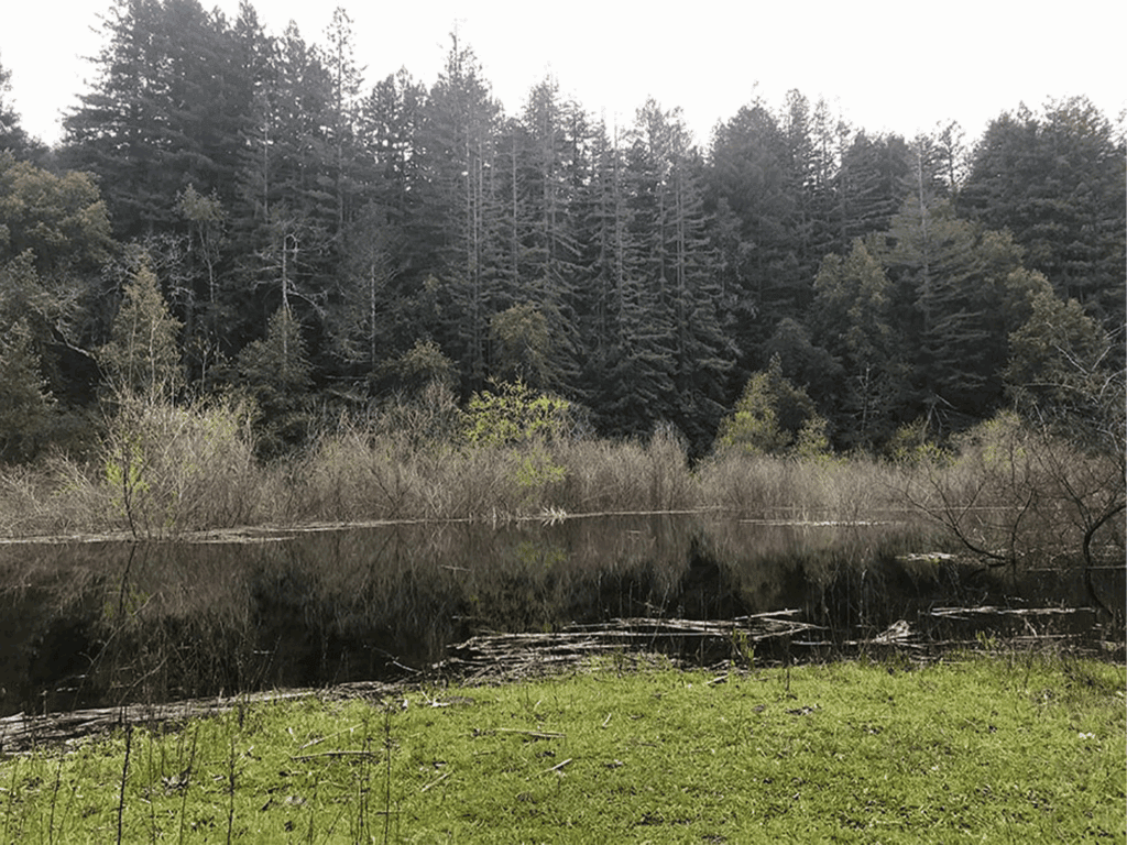 larger running creek through jack london state park in glen ellen