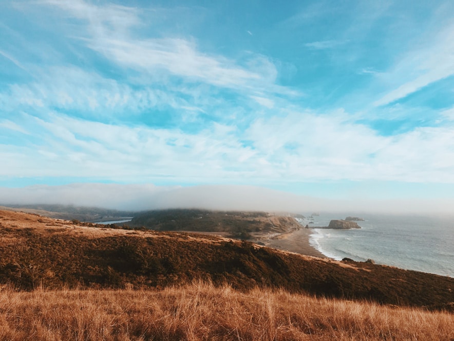 A swath of blue ocean in the horizon is visible behind a field of golden grasses at Jenner Headlands Preserve in Sonoma County