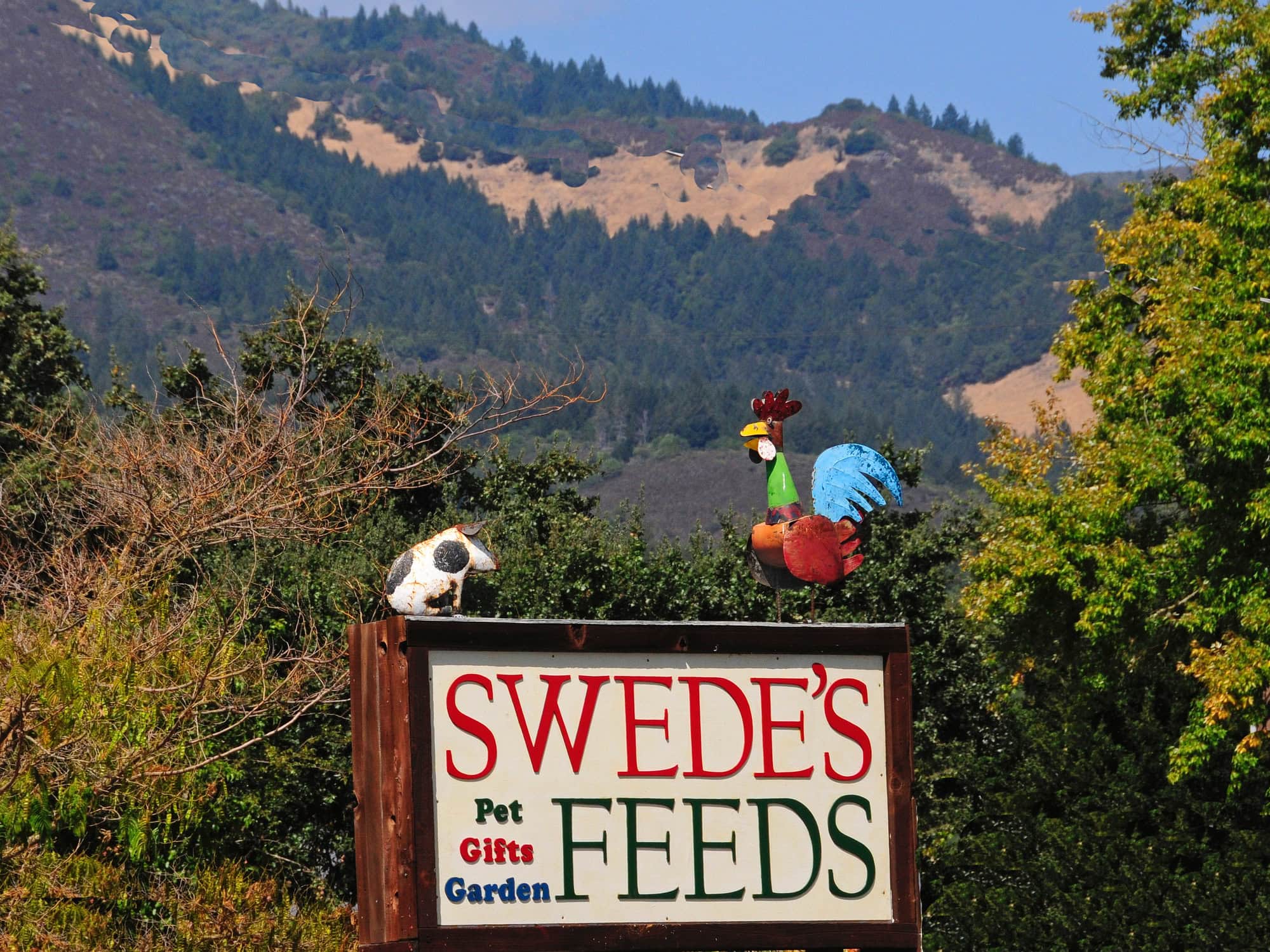 A sign for the garden store has metal sculptures on it