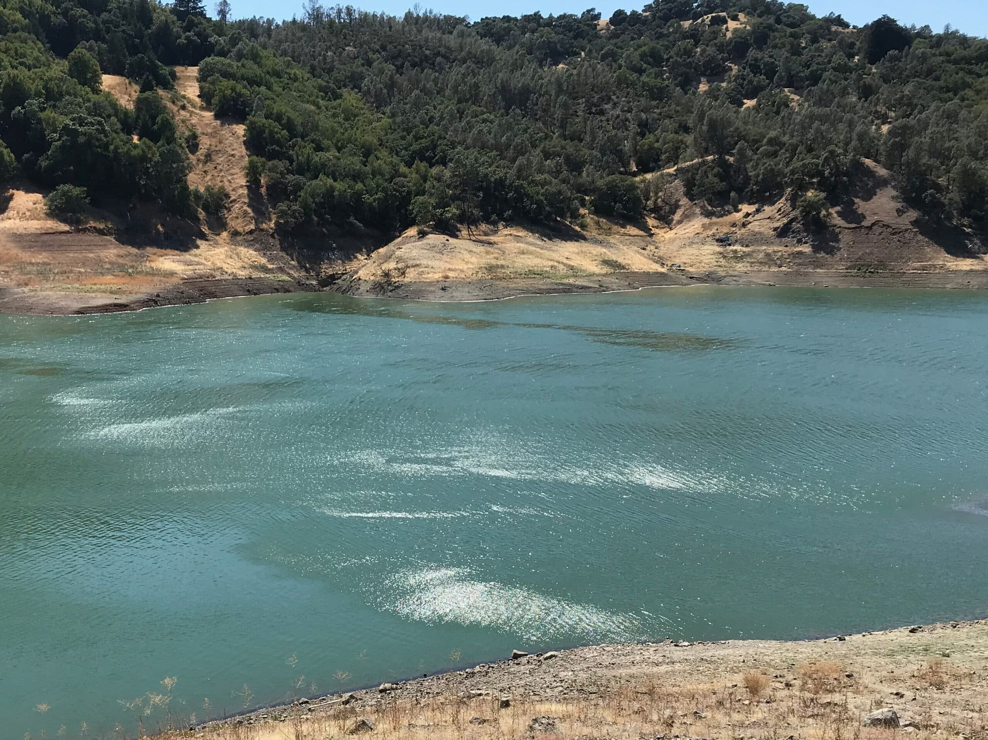 Lake Sonoma