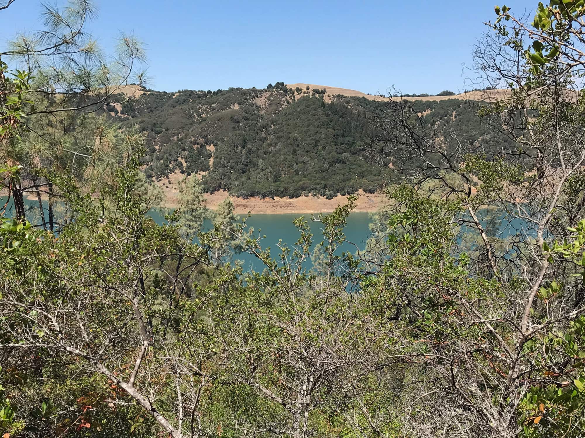 Lake Sonoma