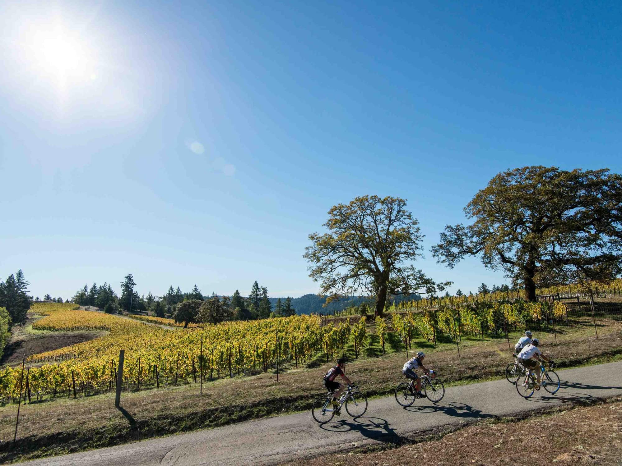 people cycling through sonoma county at the levis granfondo event