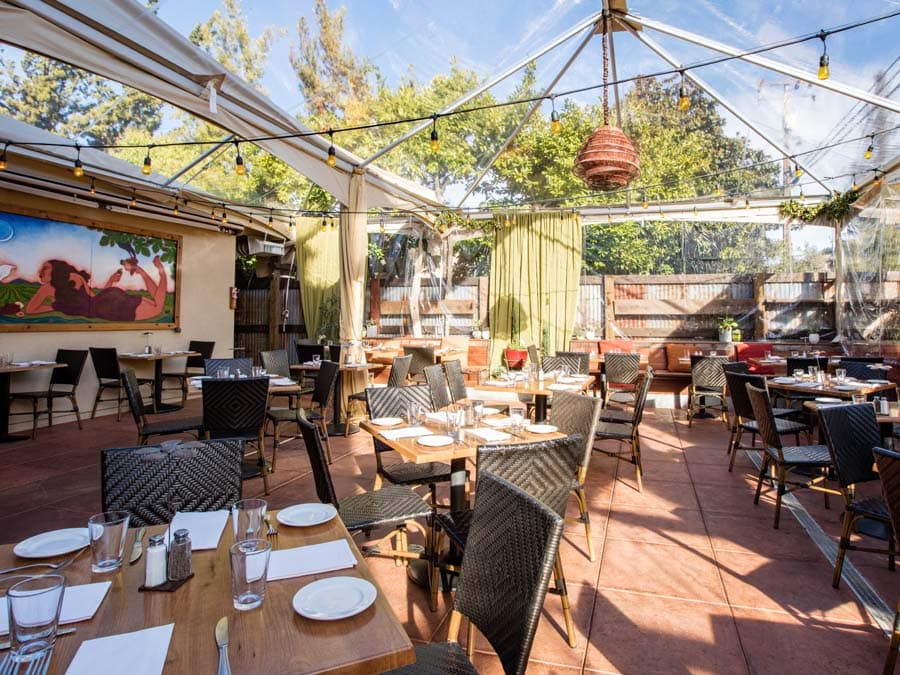 Garden patio at the girl & the fig