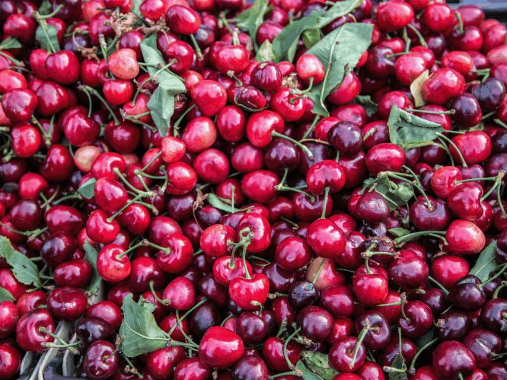 fresh locally grown cherries from sonoma county farmers market