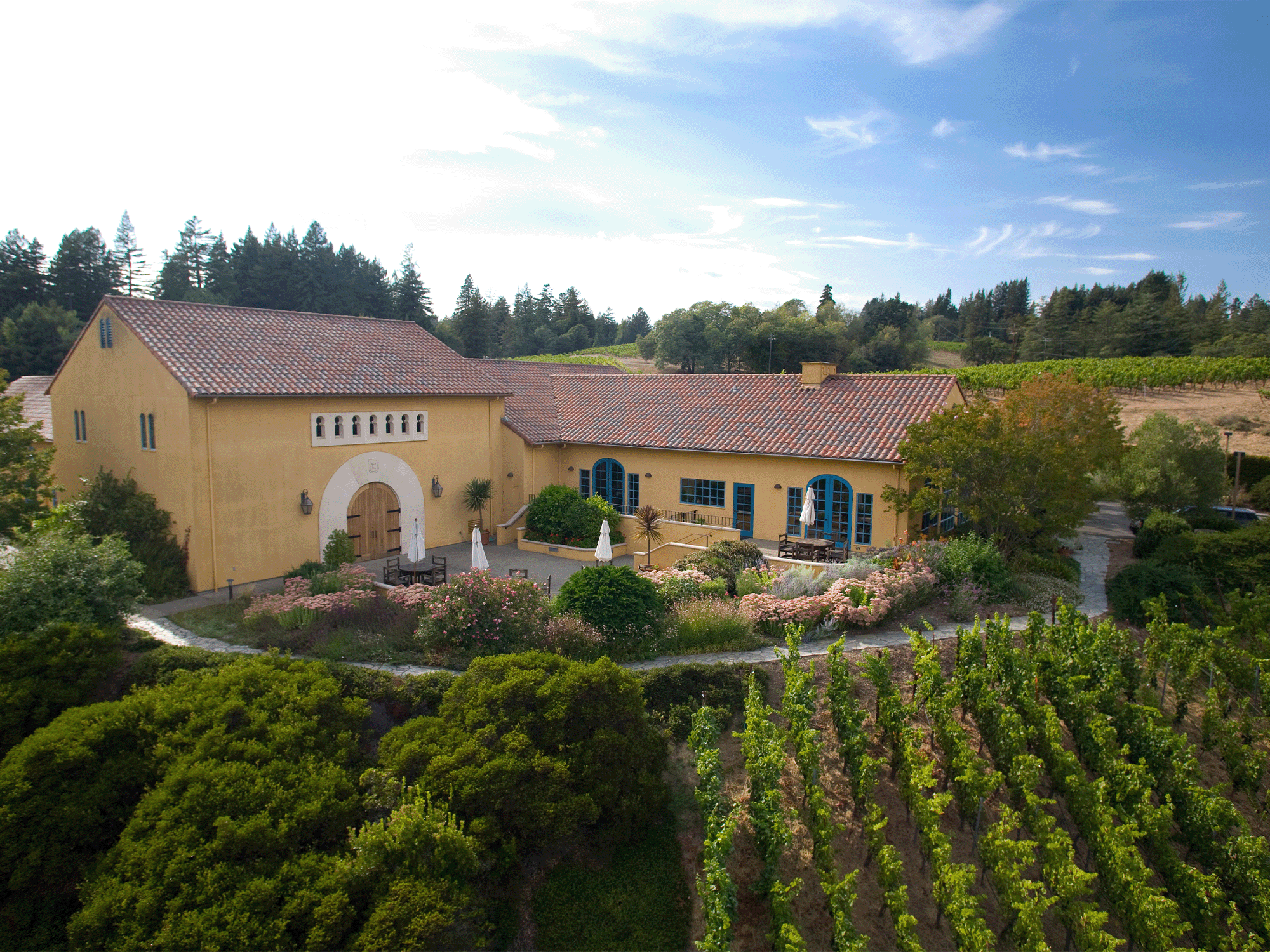 The estate is surrounded by vineyards