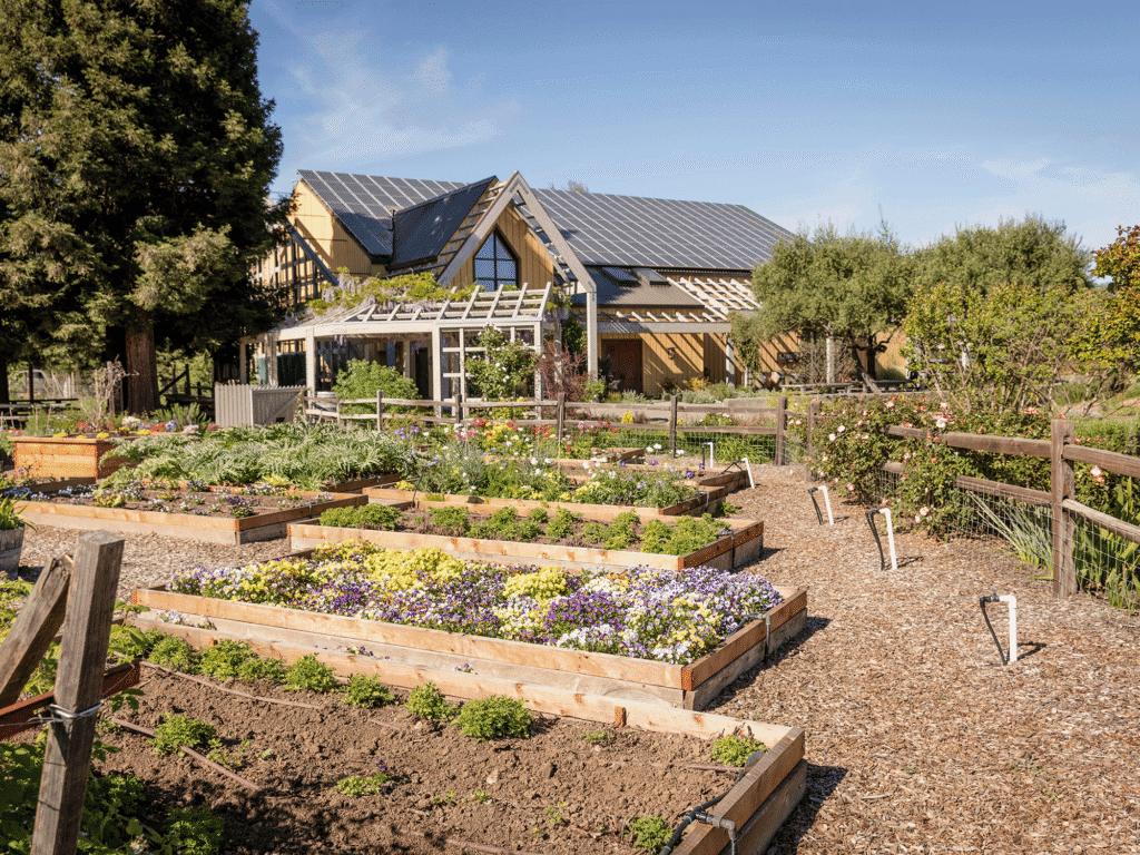 garden at quivira vineyards and winery garden in healdsburg sonoma county
