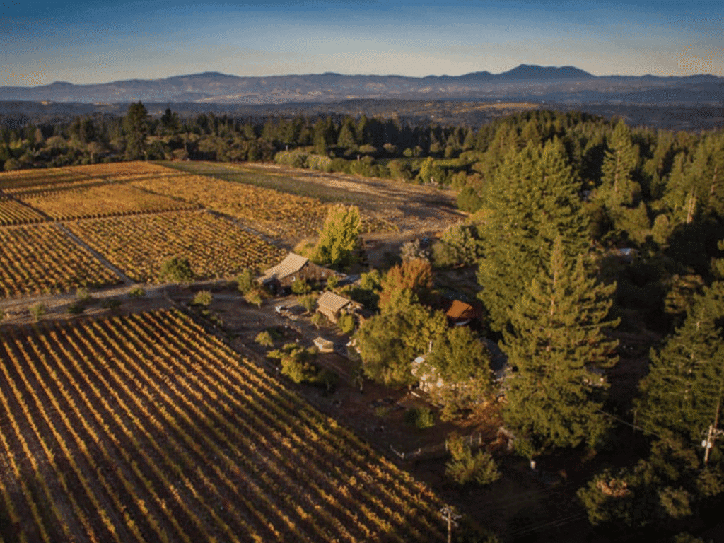 birds eye view of the vineyard at radio coteau in sonoma county