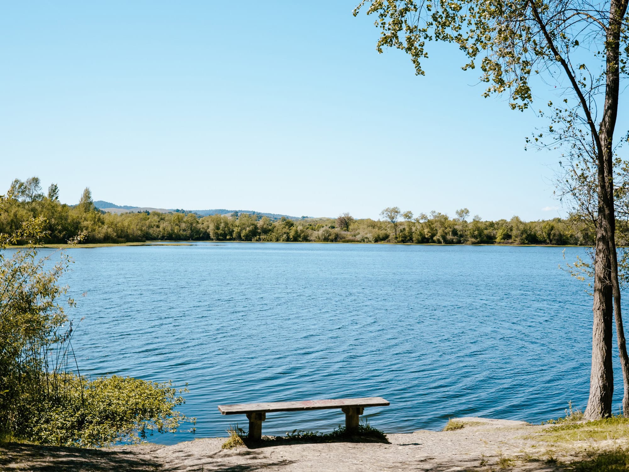 The Russian River at Riverfront Regional Park
