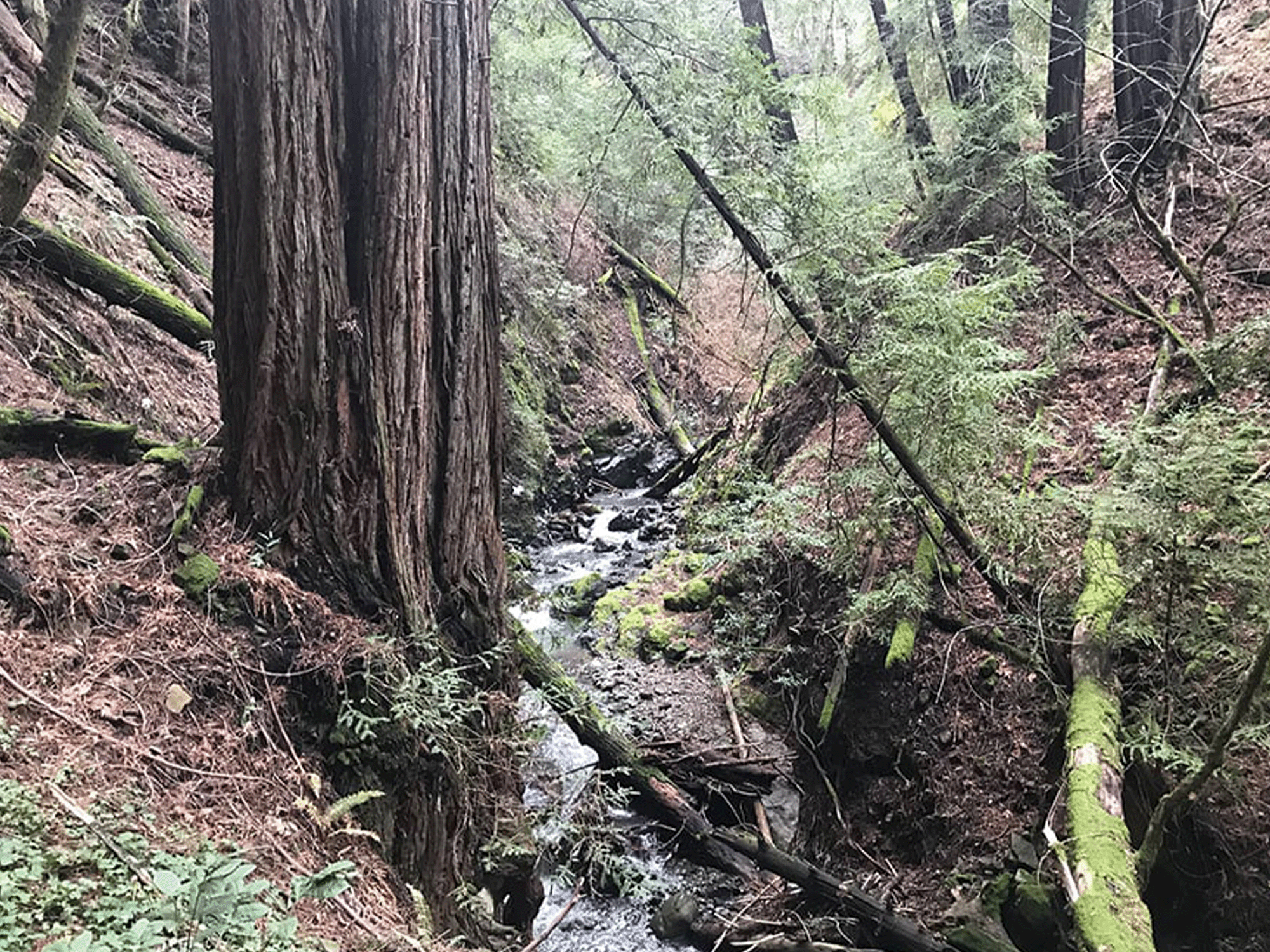 Trione-Annadel State Park
