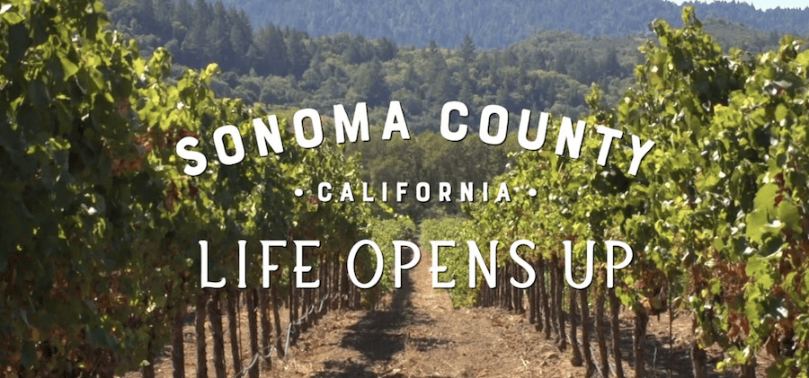 Sonoma County Tourism Life Opens Up logo