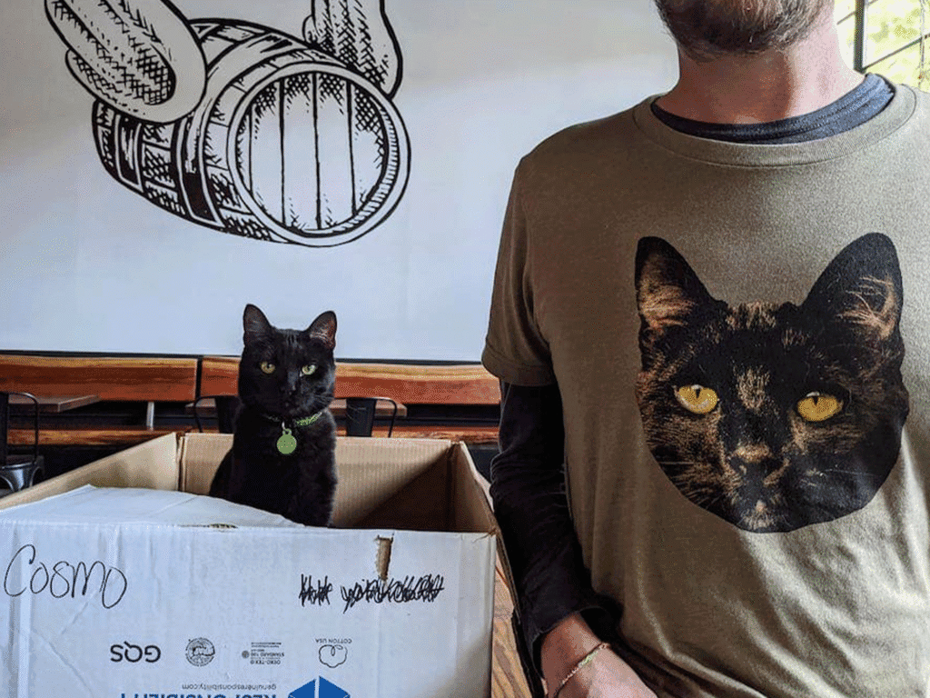 cosmo the cat in a box at shady oak barrel house in sonoma county