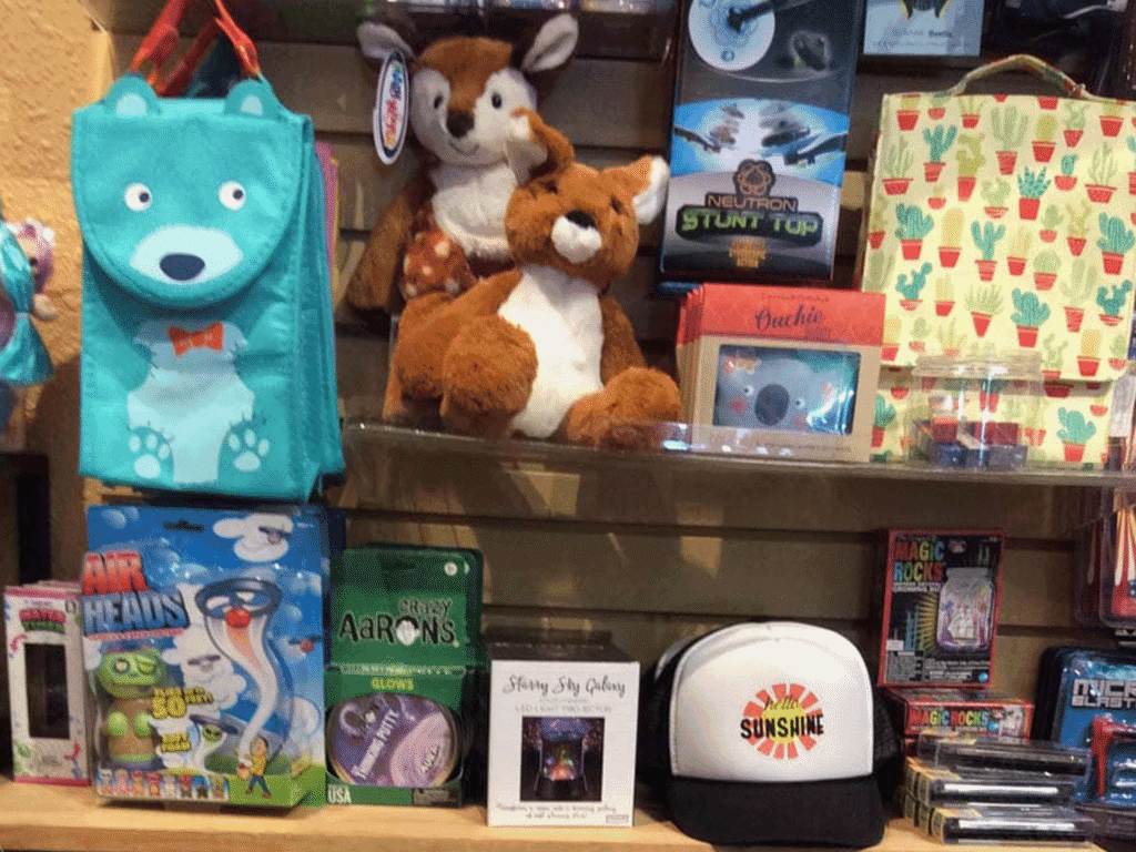 shopping at mr moons store in healdsburg sonoma county