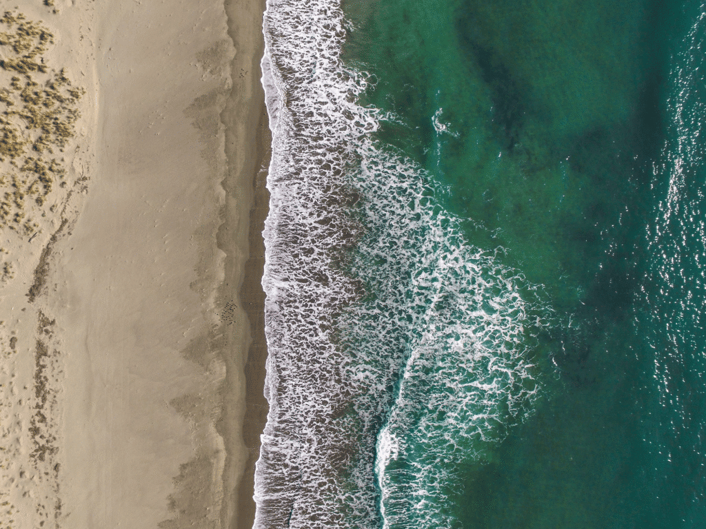 doran regional park sandy beach in bodega bay sonoma county