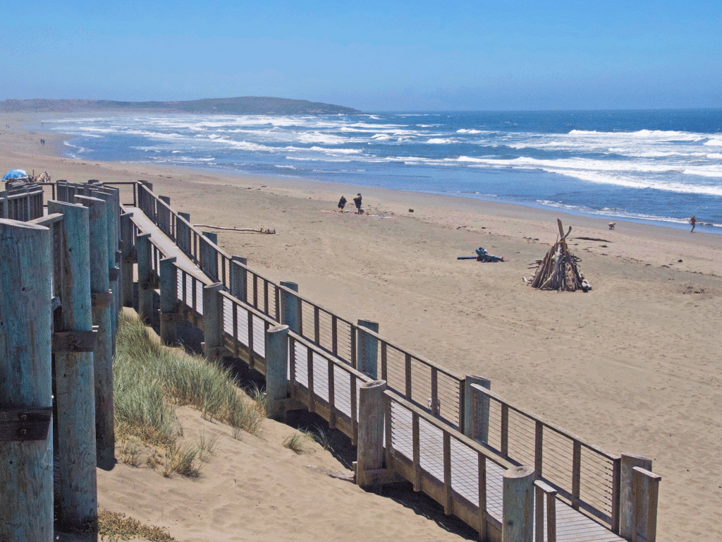 coast line of sandy beach at sonoma coast state park bodega dunes beach