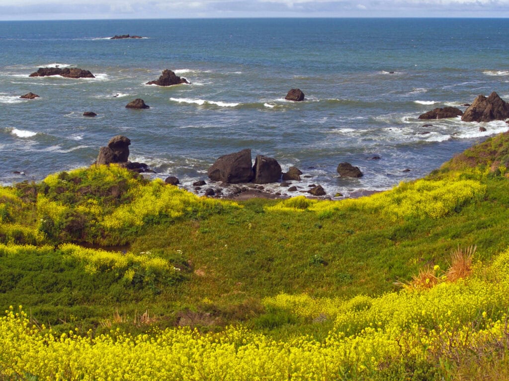 scenic view at kortum trail sonoma county coast