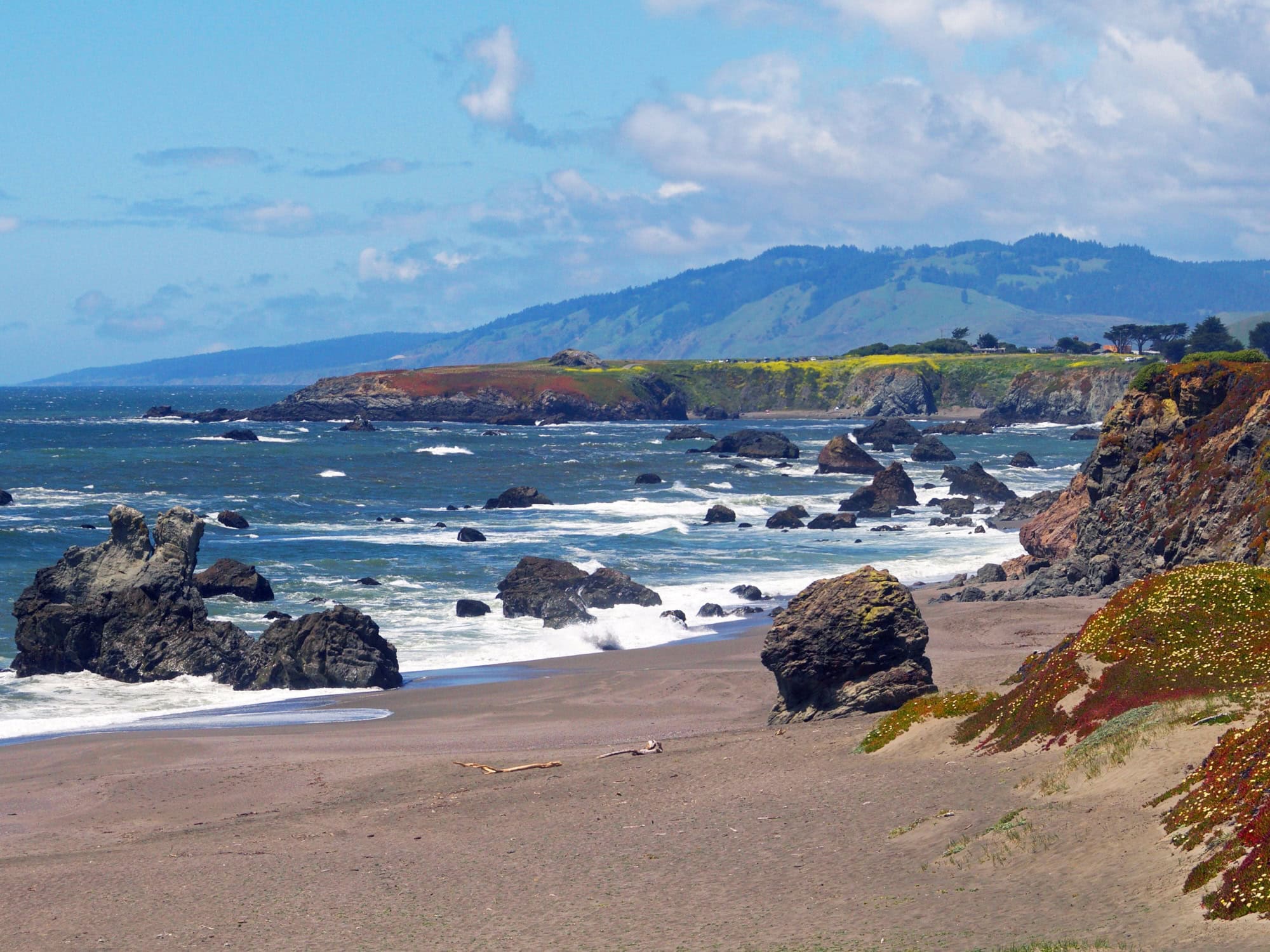 Portuguese Beach at Sonoma Coast State Park 