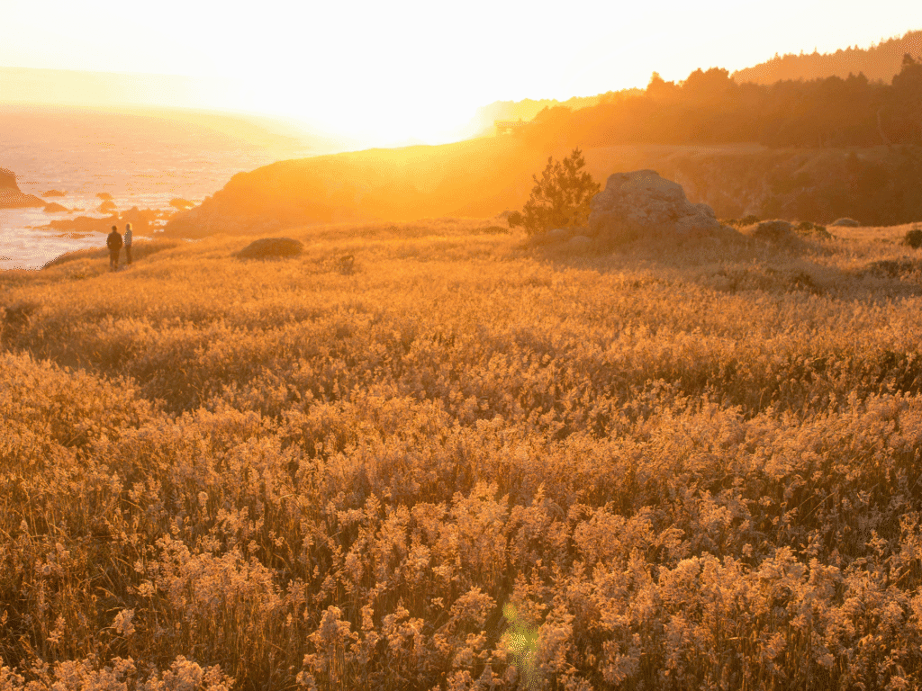 couple walking along the coast in jenner with a beautiful sunset