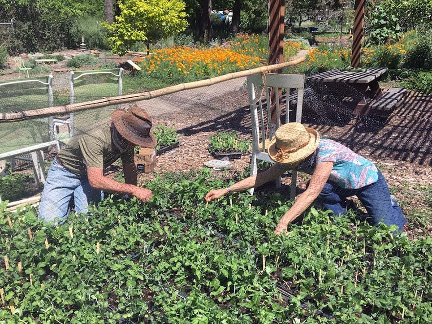 Couple in working in garden at Ecology Center